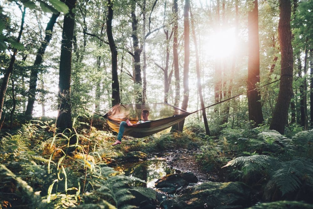 Amazonas Moskito Traveller hammock thermo i skogen