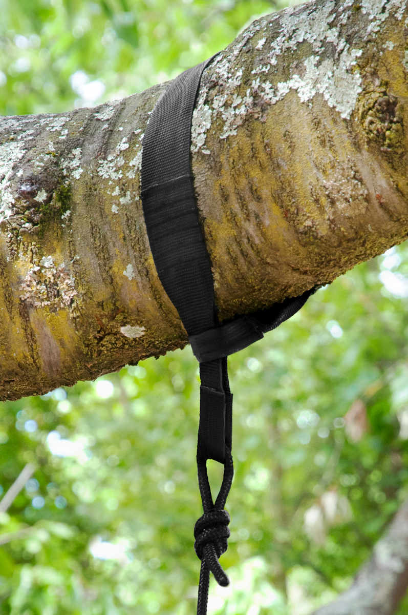 Krok och rep till upphängning av hängstolar i träd